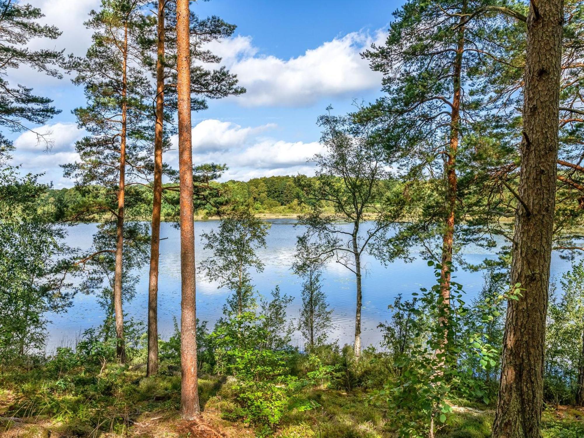 Holiday Home Gaslunda By Interhome Olofström Exteriör bild